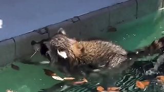 Awesome video ????