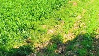 Video Pakistan cute