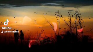 beautiful poetry with relaxing background music