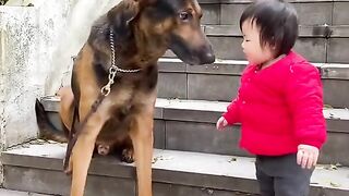 DOG AND BABY