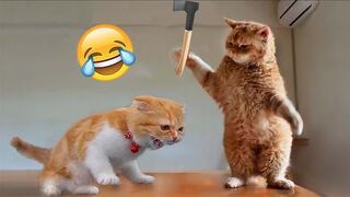 Funniest Animal Videos- Best Cats-and Dogs???? Videos 2023!