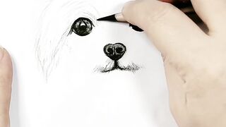 Dog Hand making Art