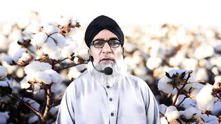A successful farmer of Cotton who got 65 maunds per acre yield