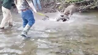 Awesome video ????