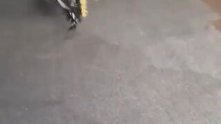 Comedy video - funny video