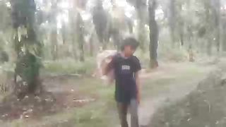 funny guy climbing a coconut tree.