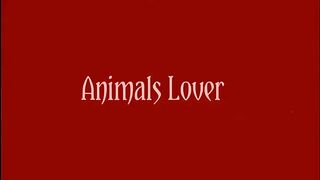 Wildlife Video | Animals Video | Best Animals compilation 2021 | Forest Animals