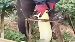 Techniques