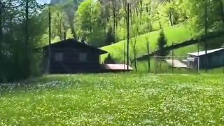 Beautiful Nature view scenery ????