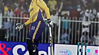Sammy in psl