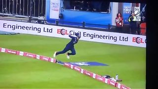 Cricket fan