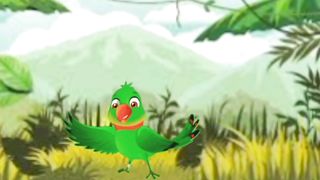 Totay Ki Kahani Totay Ki Zubani طوطے کی کہانی طوطے کی زبانی
