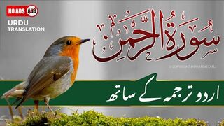 Surah Rahman With Urdu Translation Full | Episode 078 | Quran Tilawat Tarjuma