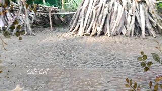CUTE ORANGE CAT