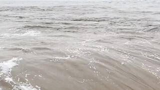 Sea Ray