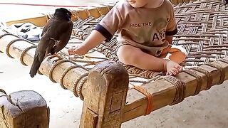 kid love with bird so watch able video #kid