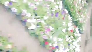 Flowers ????????/nature beauty ????/nature/beautiful scene ????????/colour ful flowers ????????