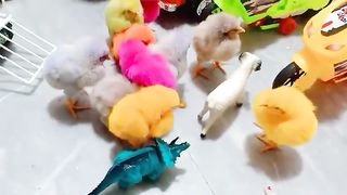Many Coloured Chicken Baby | gadi wala Cartoon |bus tractor truck JCB crane ! Sam Toys