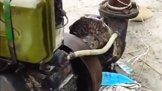 Video lucu