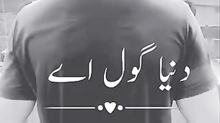 Duniya Gool ha monafiq mahool ha samjha karo bat ko na nikla karo rat ko