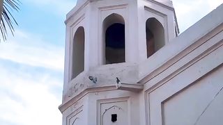 Anar Kali Tomb Lahore|Pakistan