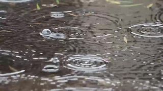 Rain relaxing videos