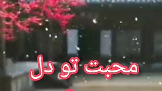 Sad shayre in urdu