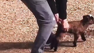 Baby Tim Tom Born without the use of his back leg ????????