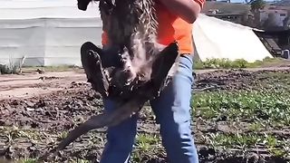 Nice video ????