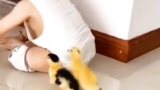 #funnyvideo#reelvideo#viralvideo