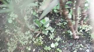 Berburu Anak Musang lucu