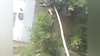 Funny videos Pakistan ka tailant