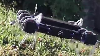 This robot can climb fences and open doors.