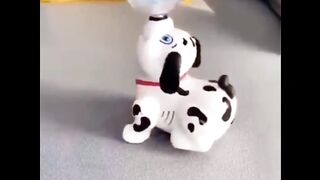 Funny Puppies Ready To Playing.