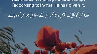 AlQuran