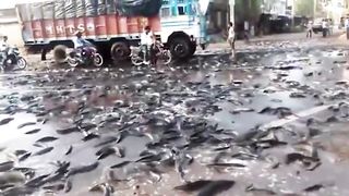 Top 10 Most Dangerous Natural Phenomena In The World