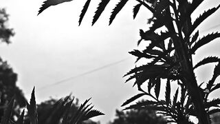 #Music