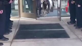 Nice video ????