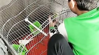 Birds lover