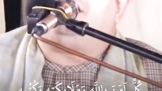 sura baqra last ayat talawat