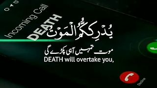 amazing tilawat