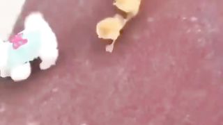 Baby cats so cute