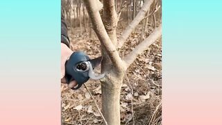 Satisfying and Relaxing Video Compilation in tiktok
