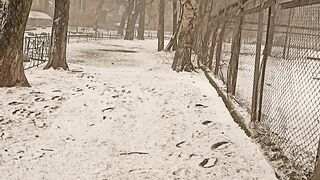 Снег