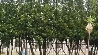 Raining in Saudi Arabia