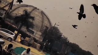 Poetry videos