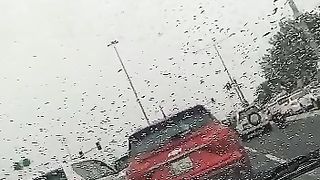 Rain in qatar