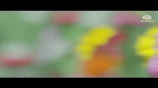 Hum Teri Mohabbat Mein _