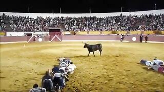 Bull sight