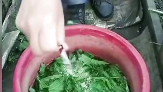 СЕЛСКО СТОПАНСТВО